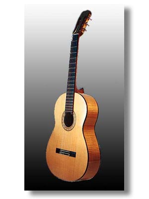 Classical 6 string guitar