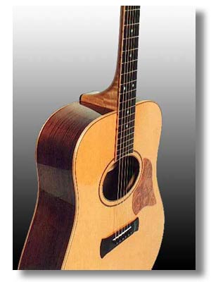 Brazilian Rosewood 6 String guitar