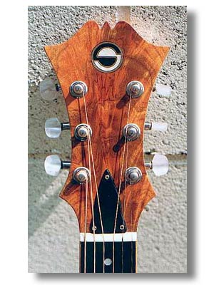 Brazilian Rosewood 6 String guitar head