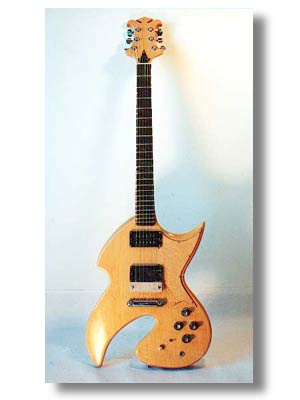 Electric Sitar Guitar