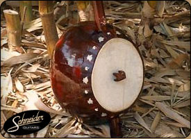 handmade indian instruments custom built - Ectara